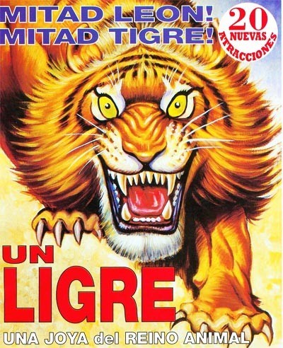 Ligres y tigones