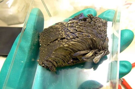Gracias al análisis de este elemento químico incrustado en cristales sabemos que antes, en la Tierra, no había montañas