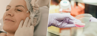 Silicon Valley's silent obsession is not AI: it is beating death