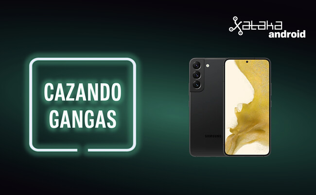 Cazando Gangas