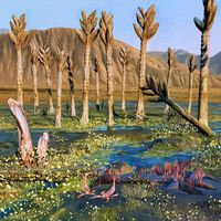 Achávamos que tínhamos resolvido o mistério das “árvores” gigantes do Paleozoico: não poderíamos estar mais errados 