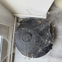 Compré un robot de limpieza caro hace un año y la IFA ha hecho que parezca antiguo: los brazos tienen la culpa