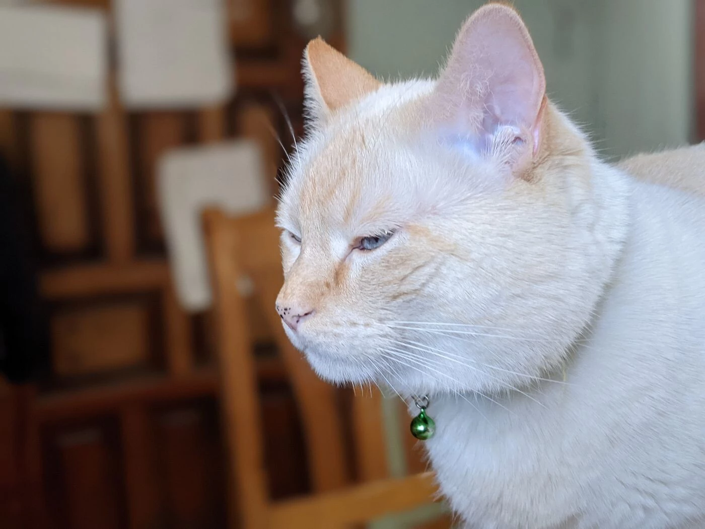 Foto de Galería de imágenes tomadas con el Samsung Galaxy S21 (1/20)