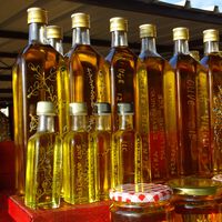 El aceite de oliva que tienes en casa no es indestructible. Así recomiendan guardar las botellas para que duren más  