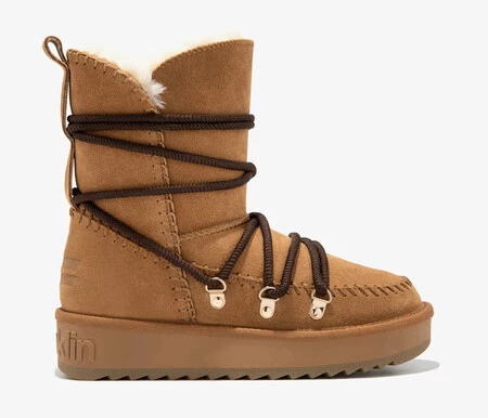 Www 8445333666585 00 1