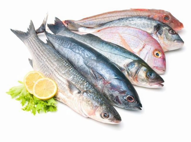 Regresa la polémia con el panga. ¿Es seguro su ingesta para embarazadas y niños?