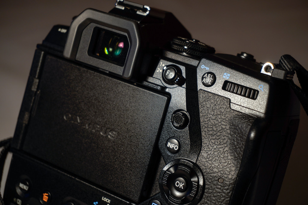 Olympus OM-D E-M1X, análisis: la Micro cuatro tercios más completa del