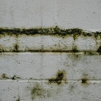 Un mes de lluvia empeora las humedades en casa, pero este deshumidificador a precio de risa acaba con ellas sin ruidos 