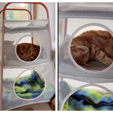 Este armario de Ikea se supone que es para guardar juguetes, pero es ideal para darles una habitación a tus gatos