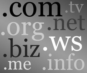 La organización que asigna dominios en Internet podría perder su licencia