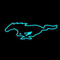 Ford aprovecha la presentación del Tesla Model Y para abrir la caja de Pandora con su misterioso coche eléctrico