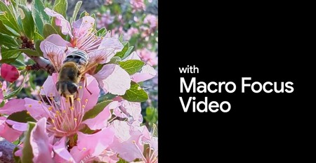 Pixel Macro Video