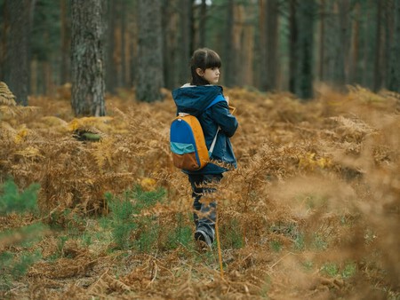 Cortafuego Dsc1462 69942aaa08bc3