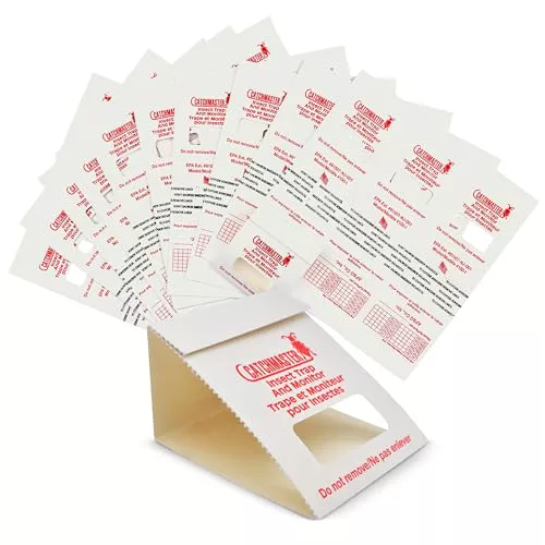 Catchmaster 100i – Trampas Cucarachas – 30 Piezas – Trampas Adhesivas de máxima Calidad para Cucarachas – Sin Veneno ni biocidas – Trampa Anti Cucarachas – Seguro para Niños y Mascotas