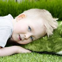 Aprende a leer y a escribir el niño "milagro" que nació sin el 98 por ciento de su cerebro