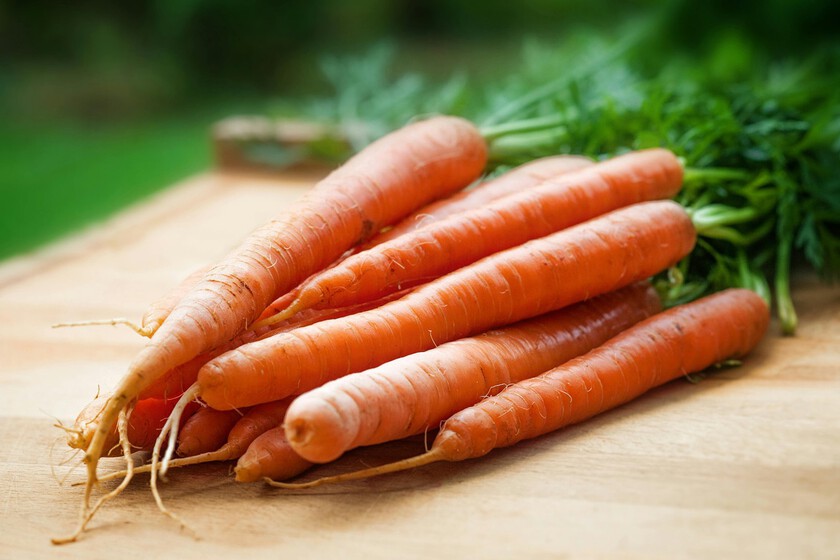 Qué verduras y hortalizas cultivar en junio