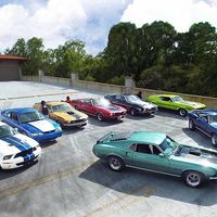 Ya conoces a los Simpson y a los Addams, pero, ¿conoces a la familia Mustang?