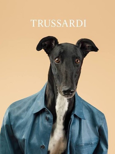Trussardi y sus nuevos top models, ¡que tiemble Velencoso! 