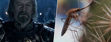 For the first time in history there are mosquitoes in Iceland. And it was assumed that they couldn't get there
