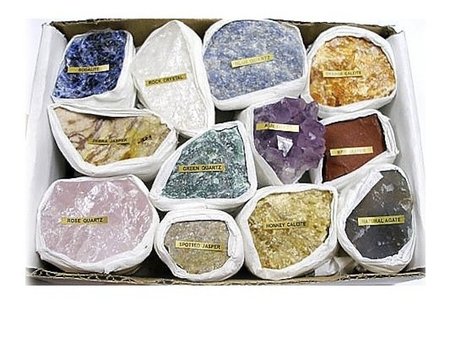 ¿Cuál es el origen de la mayoría de los minerales de la Tierra? Los seres vivos