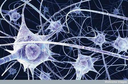 Cómo aprende nuestro cerebro a base de ritmo