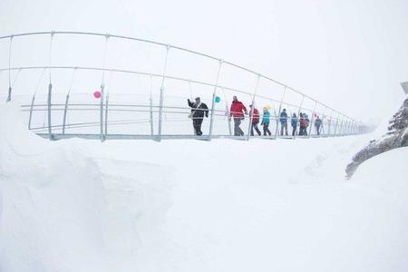 Un puente colgante suizo que pone a prueba a los visitantes