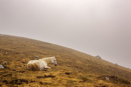 RAW Image, la extensión gratuita para ver nuestros RAW en el Explorador de archivos de Windows 10