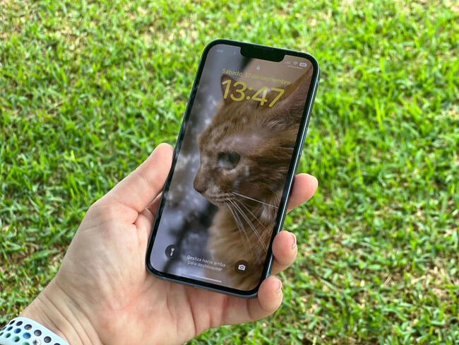 iPhone 14