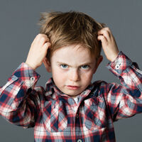 Vuelven los malditos piojos: cómo evitarlos en la cabeza de tu hijo  