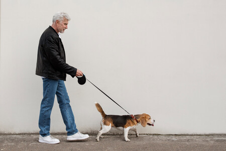 Pasear Perro Habito