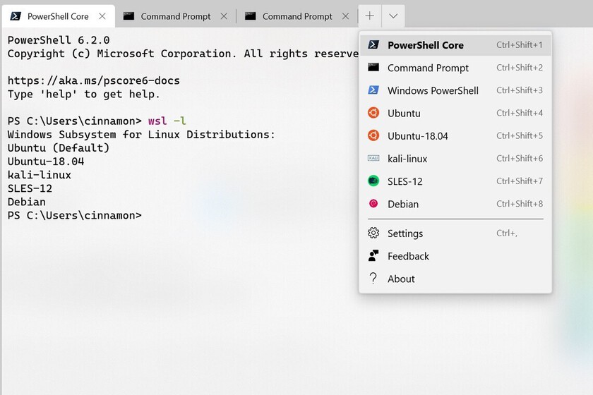 will open by default in Windows 11 as command line