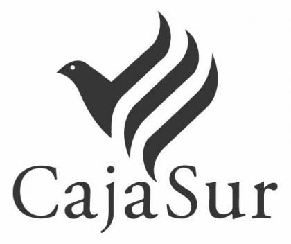 Nuevo Director General para Cajasur