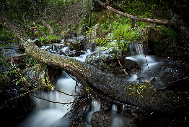 Consejos para recorrer Somosierra, la parte norte de la Sierra de Guadarrama 