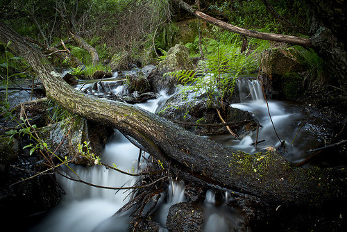 Consejos para recorrer Somosierra, la parte norte de la Sierra de Guadarrama 