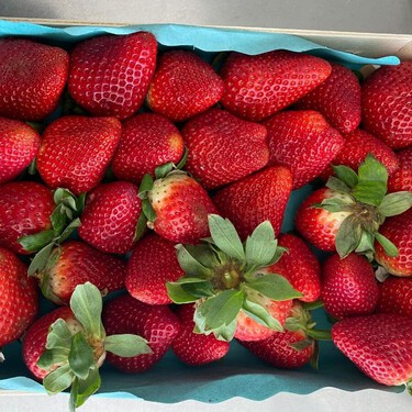 Ni en tupper ni en la madera: cómo aprovechar una caja de fresas y conservarlas para que duren más sin estropearse 