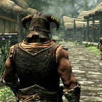 "Fue un accidente". No, nadie en Bethesda pensó que poner un cubo en la cabeza de los NPC de Skyrim podría ser un truco en el RPG de fantasía 