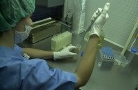 Autorizados los tres primeros diagnósticos preimplantacionales