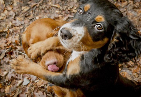 Mine Not Yours