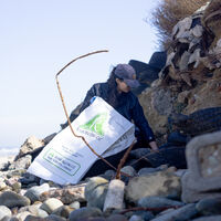 Casi todo el plástico en México acaba en playas: ya se recolectaron 273 toneladas, pero aún falta mucho para dejarlas limpias en 2030