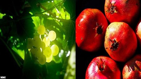 Deliciosas frutas de otoño