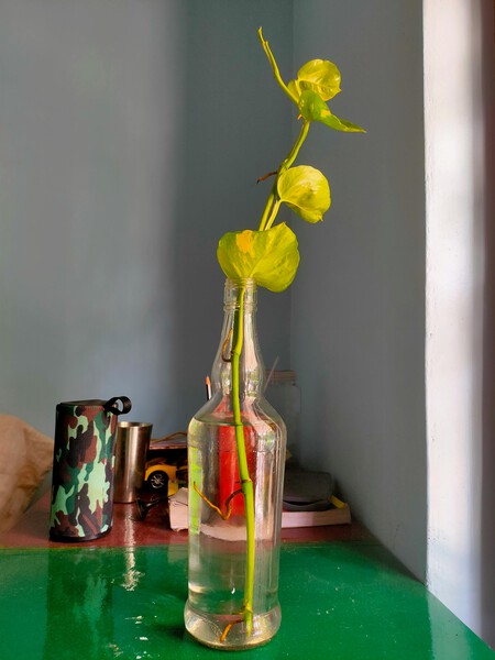 Si tienes botellas de vidrio, tienes un tesoro: 3 formas de reutilizarlas para decorar tu hogar esta primavera