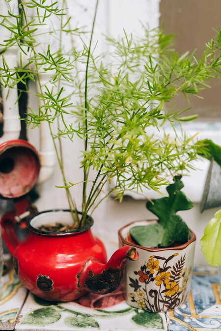 3 ideas creativas para reutilizar las ollas y jarras de peltre despostilladas y convertirlas en macetas para no tirarlas