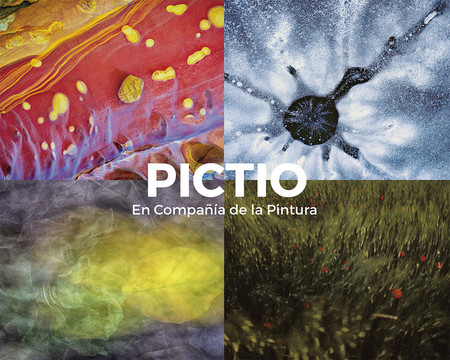 Pictio, un atractivo proyecto que une lazos entre fotografía y pintura