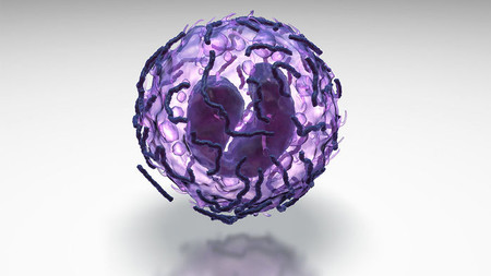 Esta nueva terapia cura el lupus, al menos en ratones, y parece prometedora en humanos