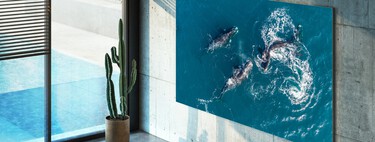 Samsung muestra sus nuevos televisores Neo QLED y MicroLED para 2022: hasta 110 pulgadas, 8K y sonido Dolby Atmos integrado