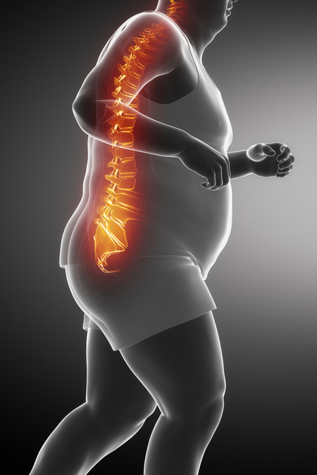 Perjuicios De La Carrera