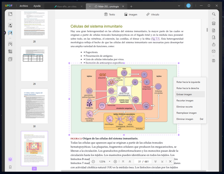 Extraer Imagen De Pdf A Png