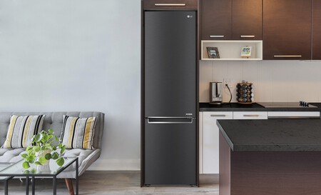 Frigo Lg 1366