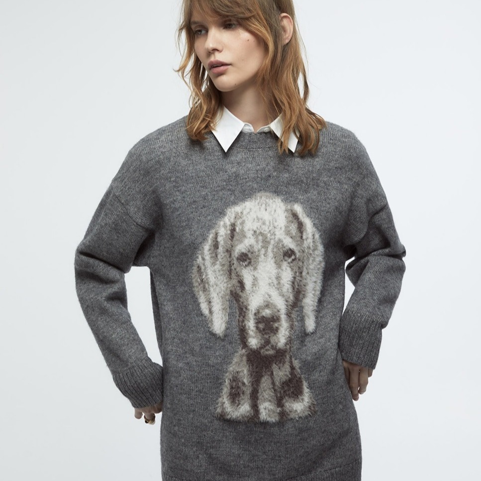 Sfera - Jersey punto perro.