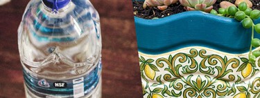 Si tienes garrafones de agua vacías, conviértelas en hermosas macetas para decorar tu hogar y evitar tirarlos 